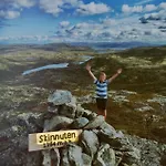 Timber In Uvdal Skisenter View/wifi * Sonstebo