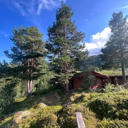 Timber In Uvdal Skisenter View/wifi Tatil Evi Sonstebo