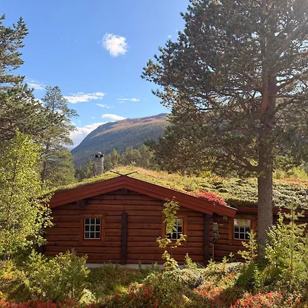 Tommerhytte I Uvdal View Og Wifi Semesterbostad *